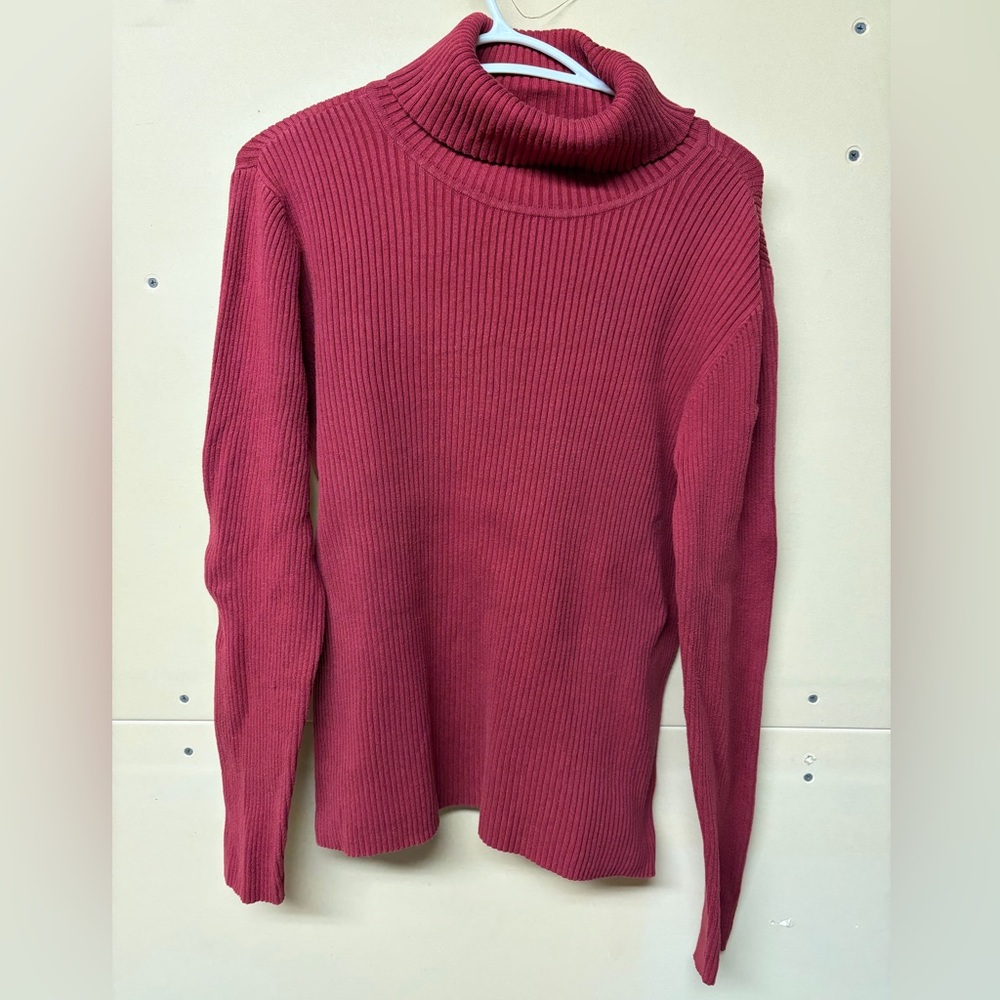 2/$20❤️- SWEATER | Women’s A.n.a turtleneck sweater size XL
